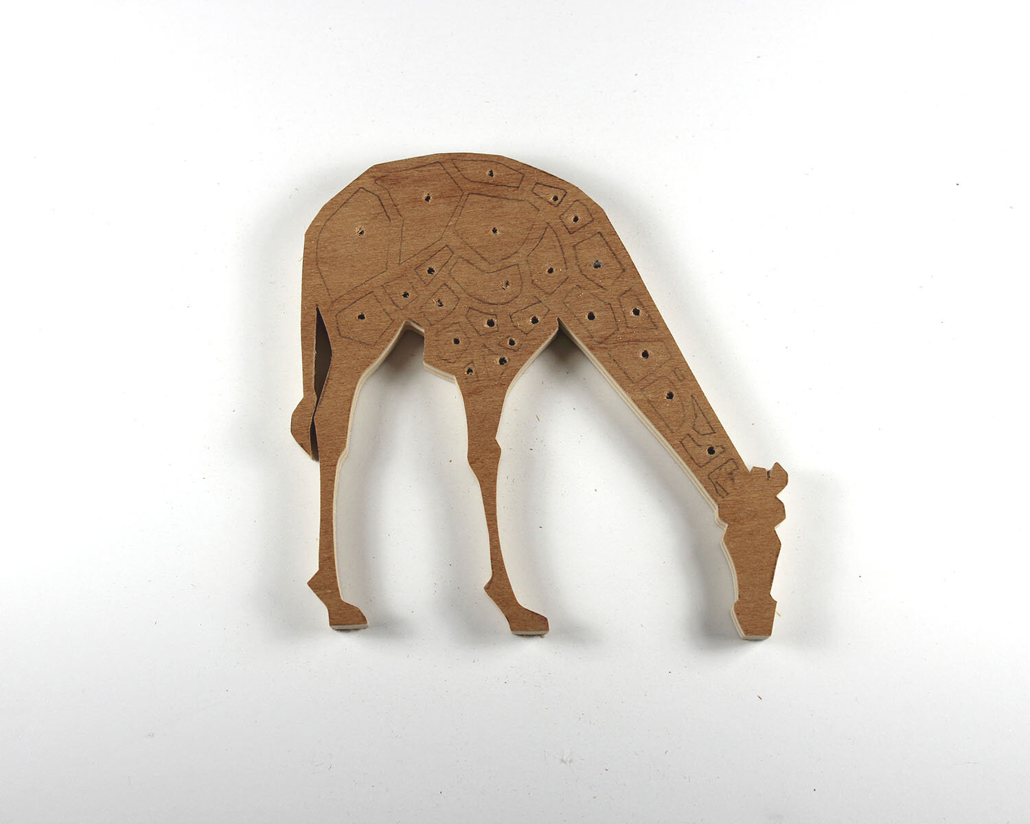 #71 March 12- Giraffe