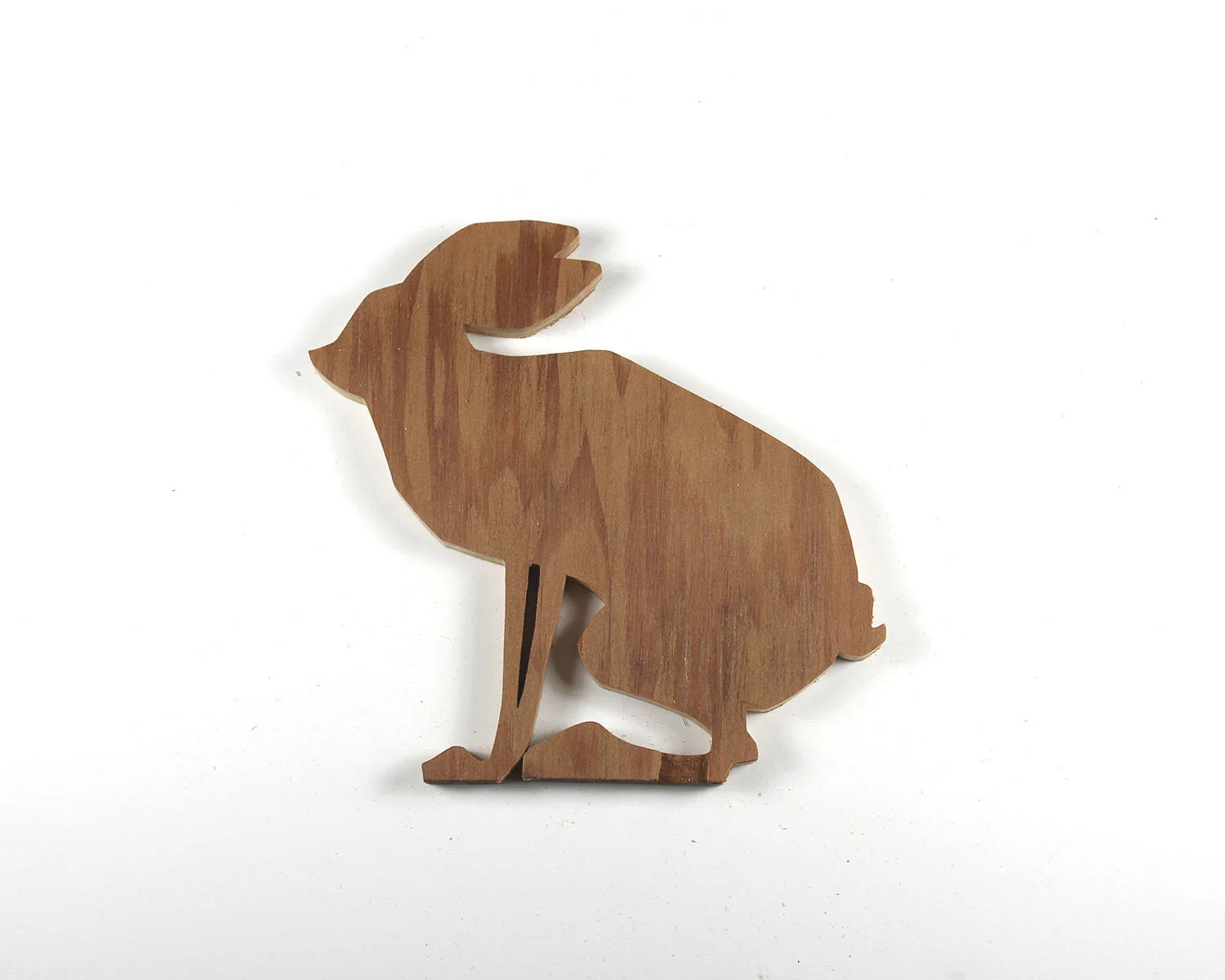 75 Irish Hare.JPG