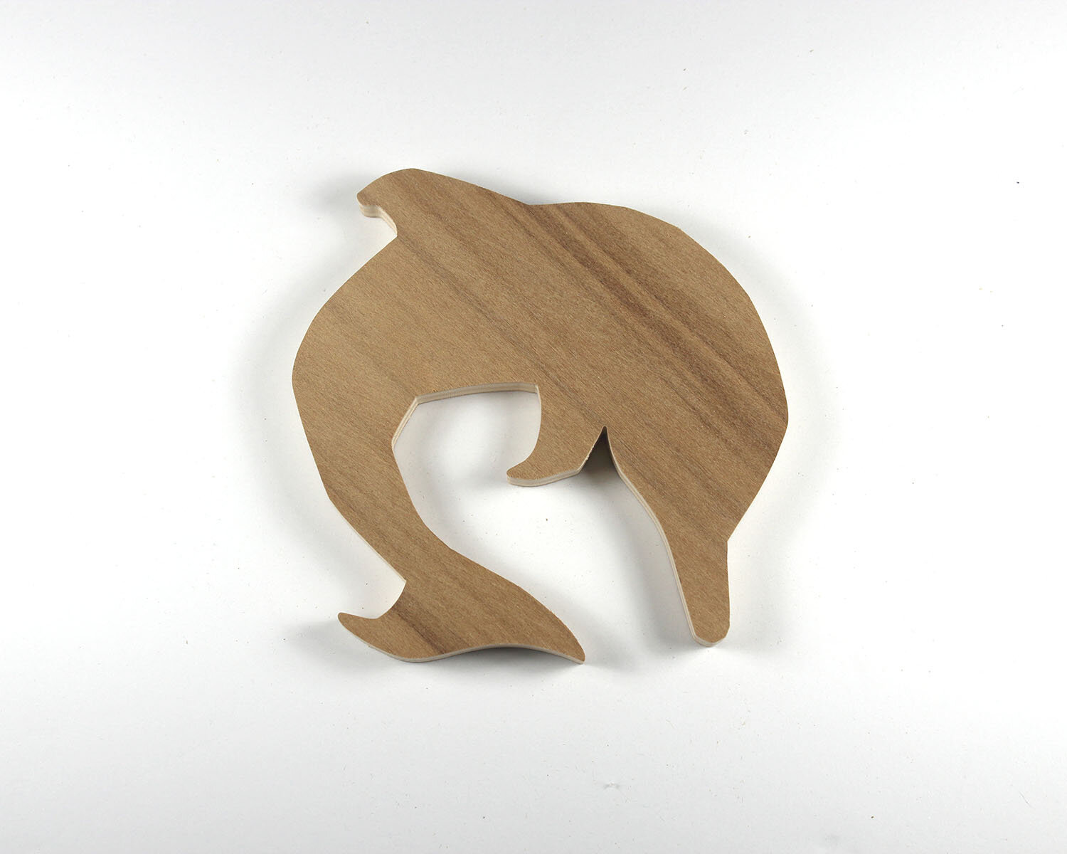 #78 March 19- Bottlenose Dolphin