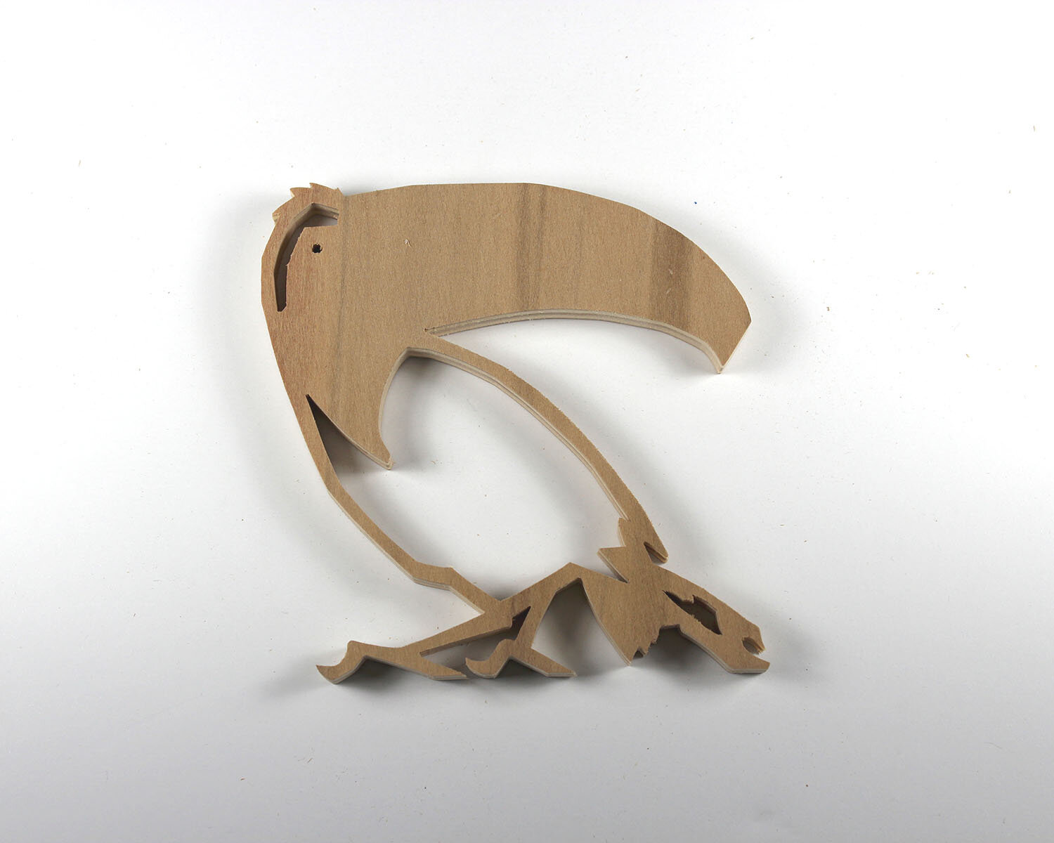 #79 March 20- Toucan