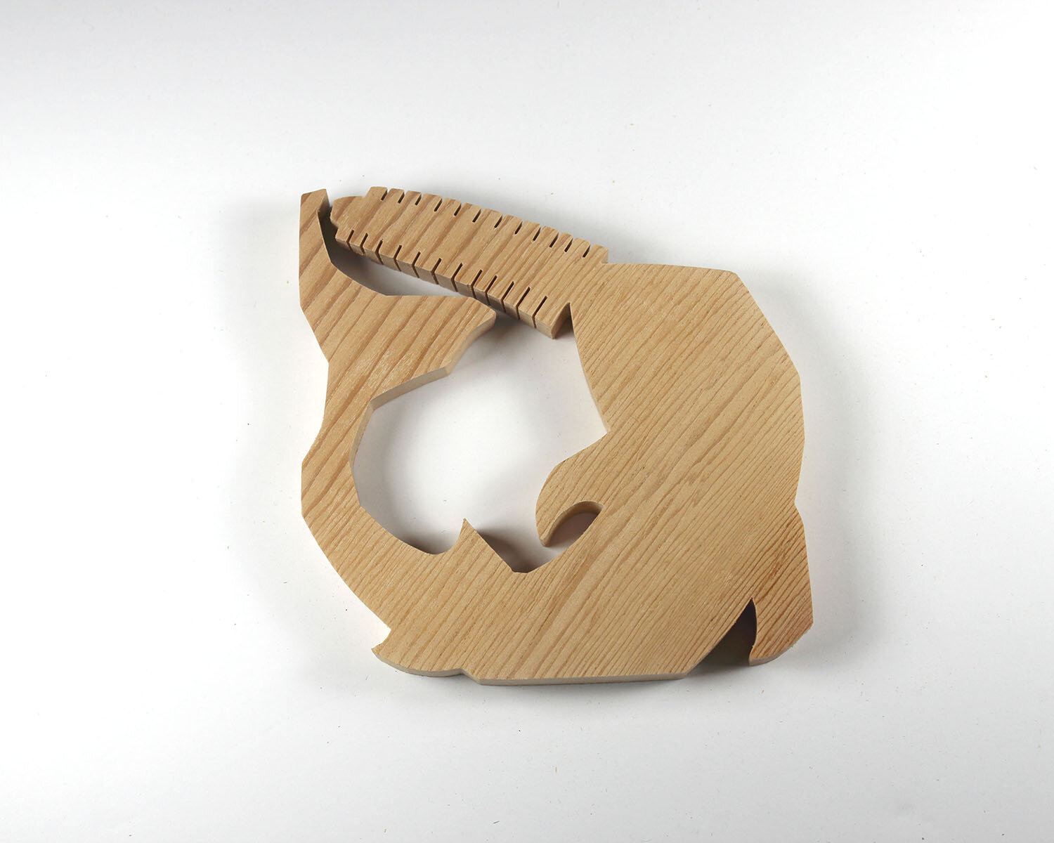 #80 March 21- Common Sawfish