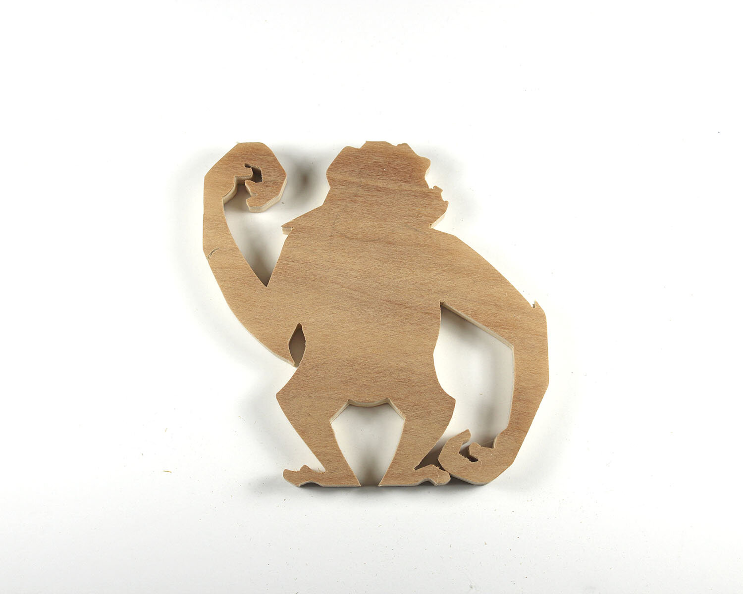 #88 March 29- Chimpanzee