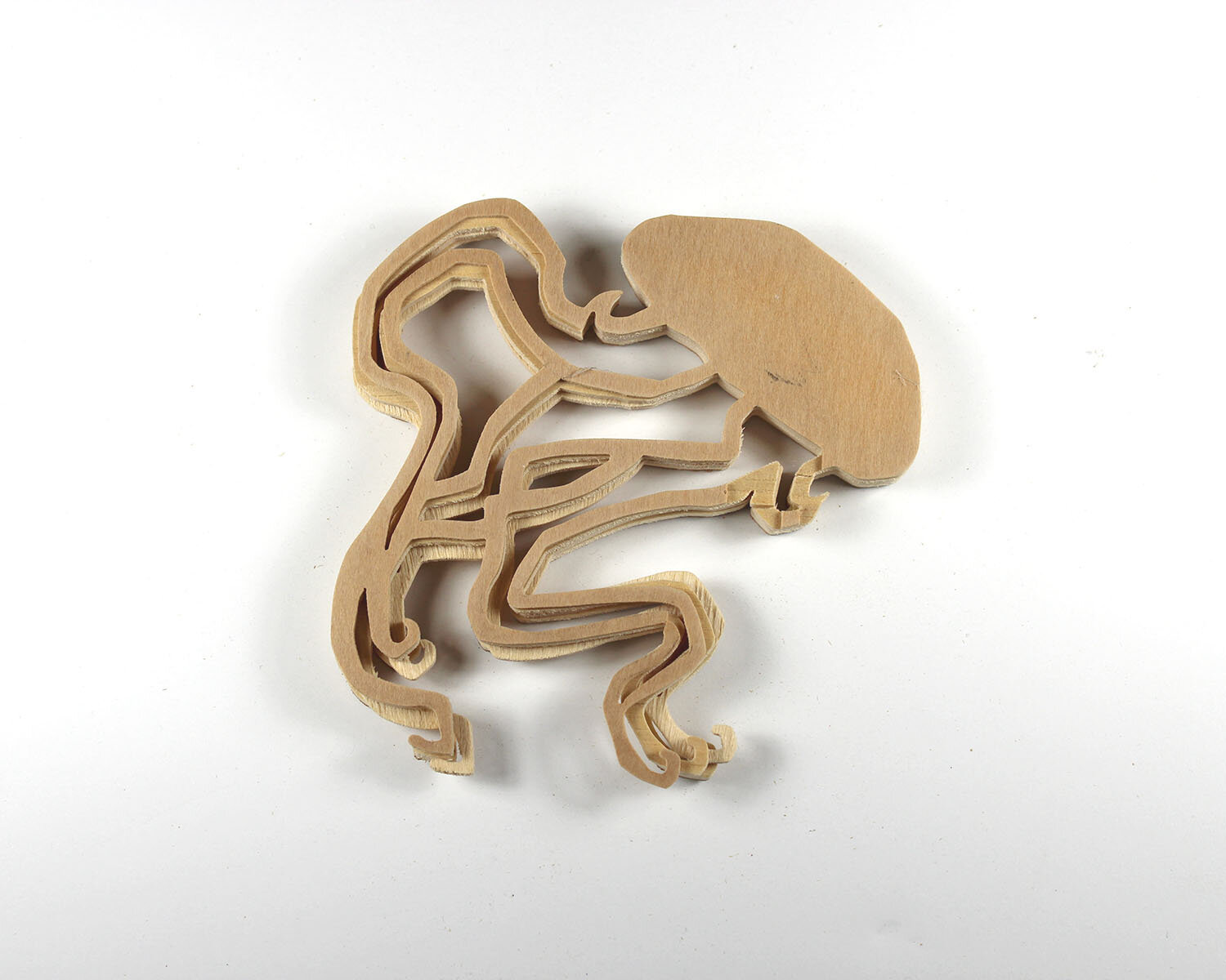 #129 May 9- Jellyfish