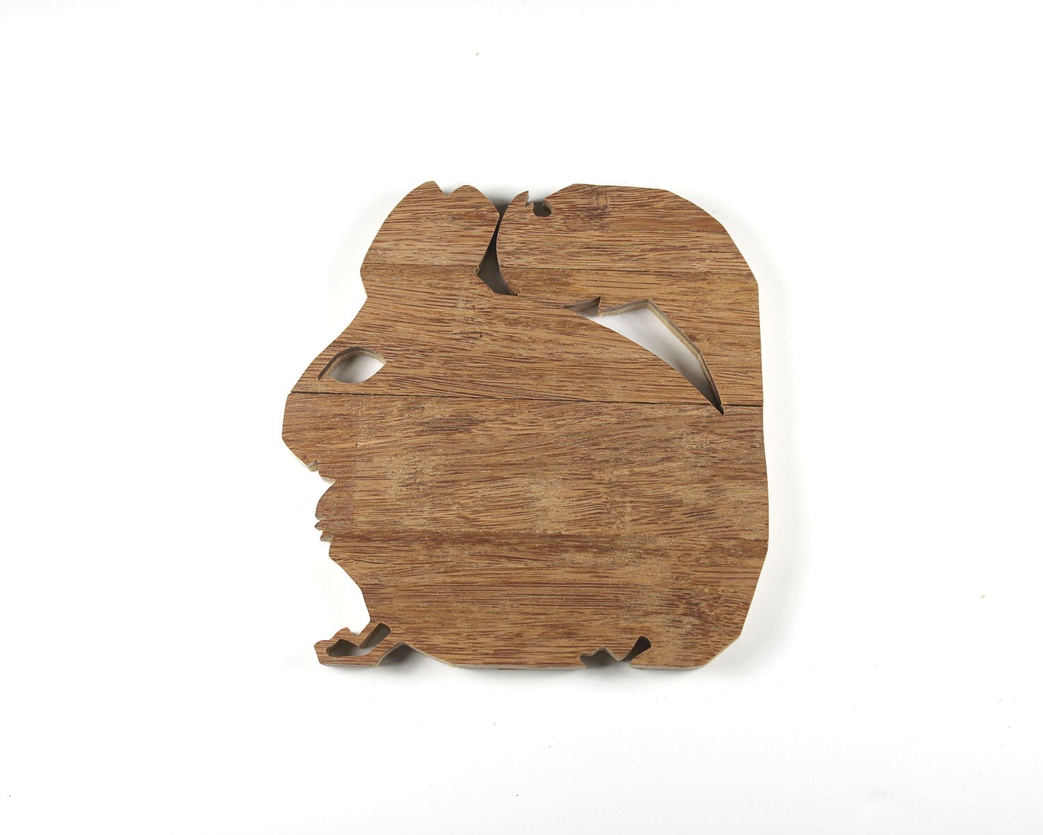 #160 June 9- Chinchilla