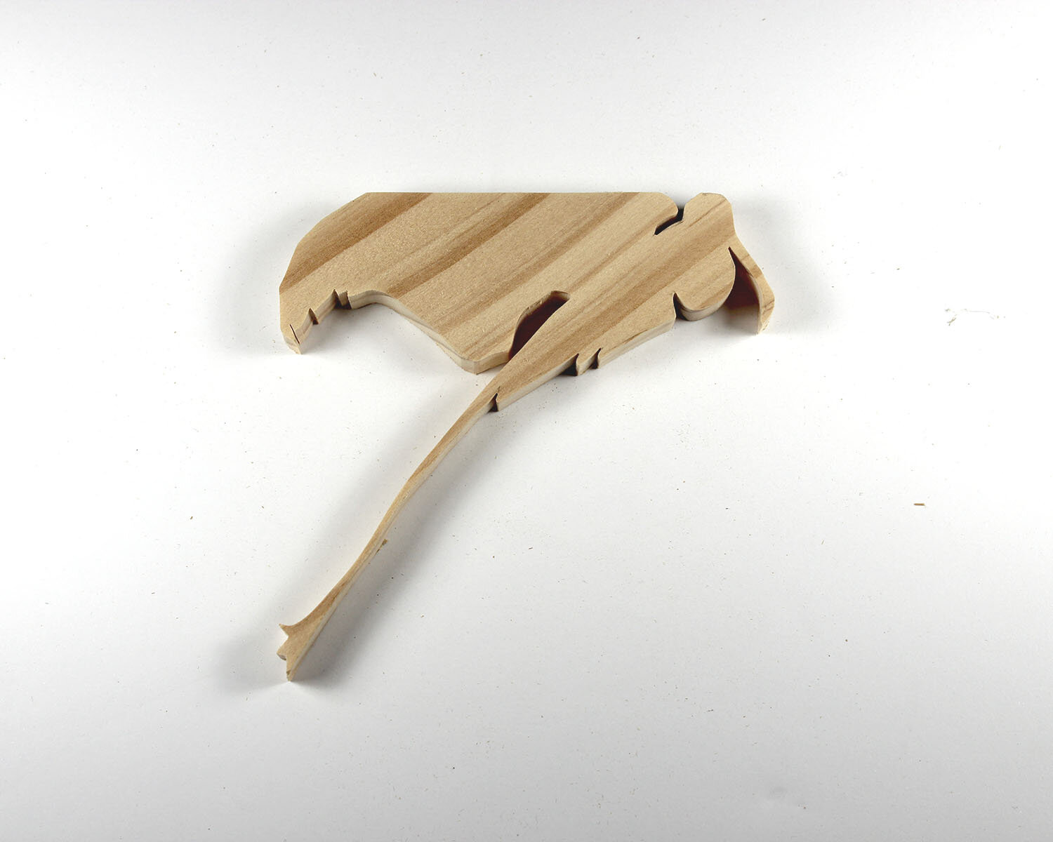 #161 June 10- Magnificent Frigatebird