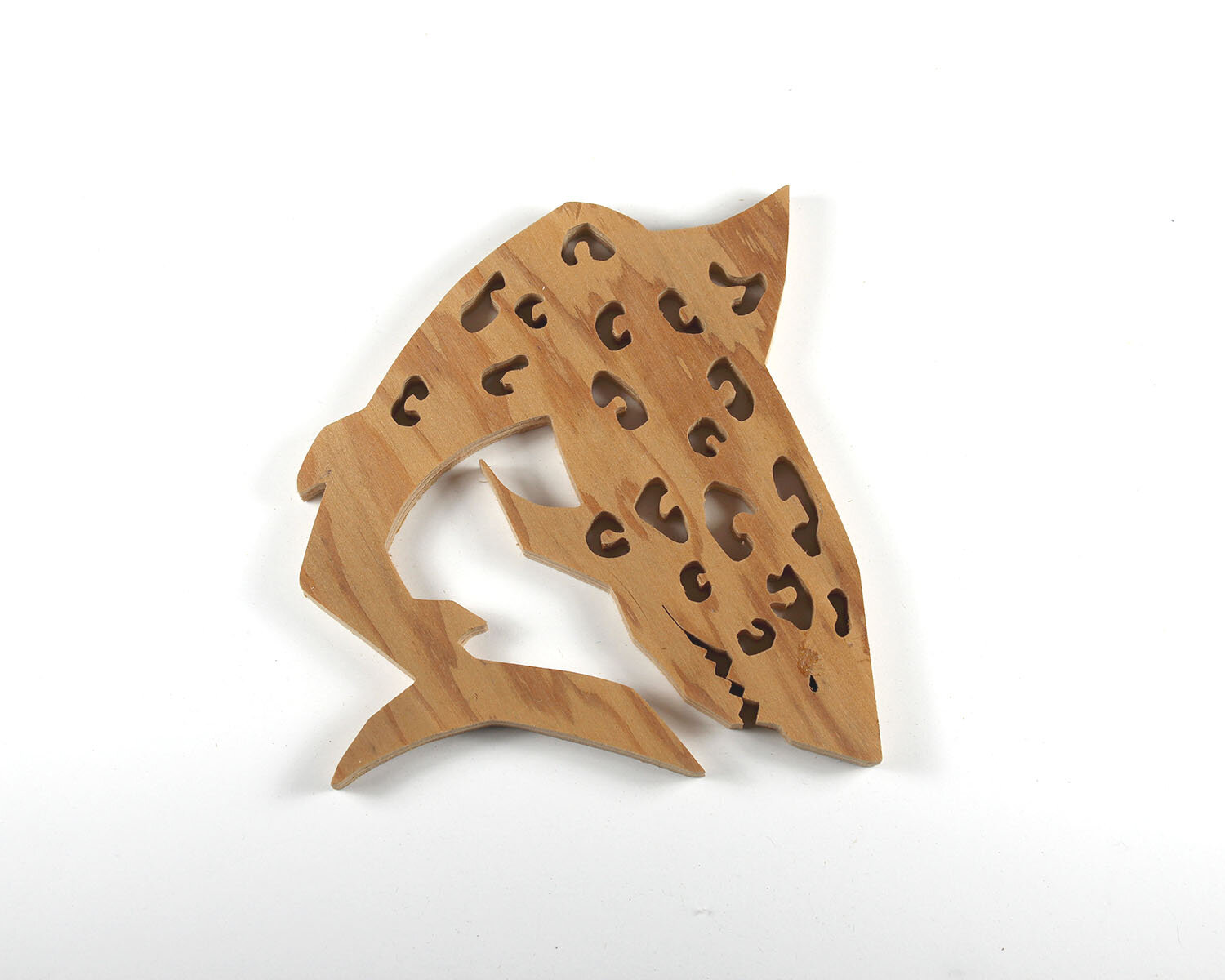 #164 June 13- Jaguar Shark