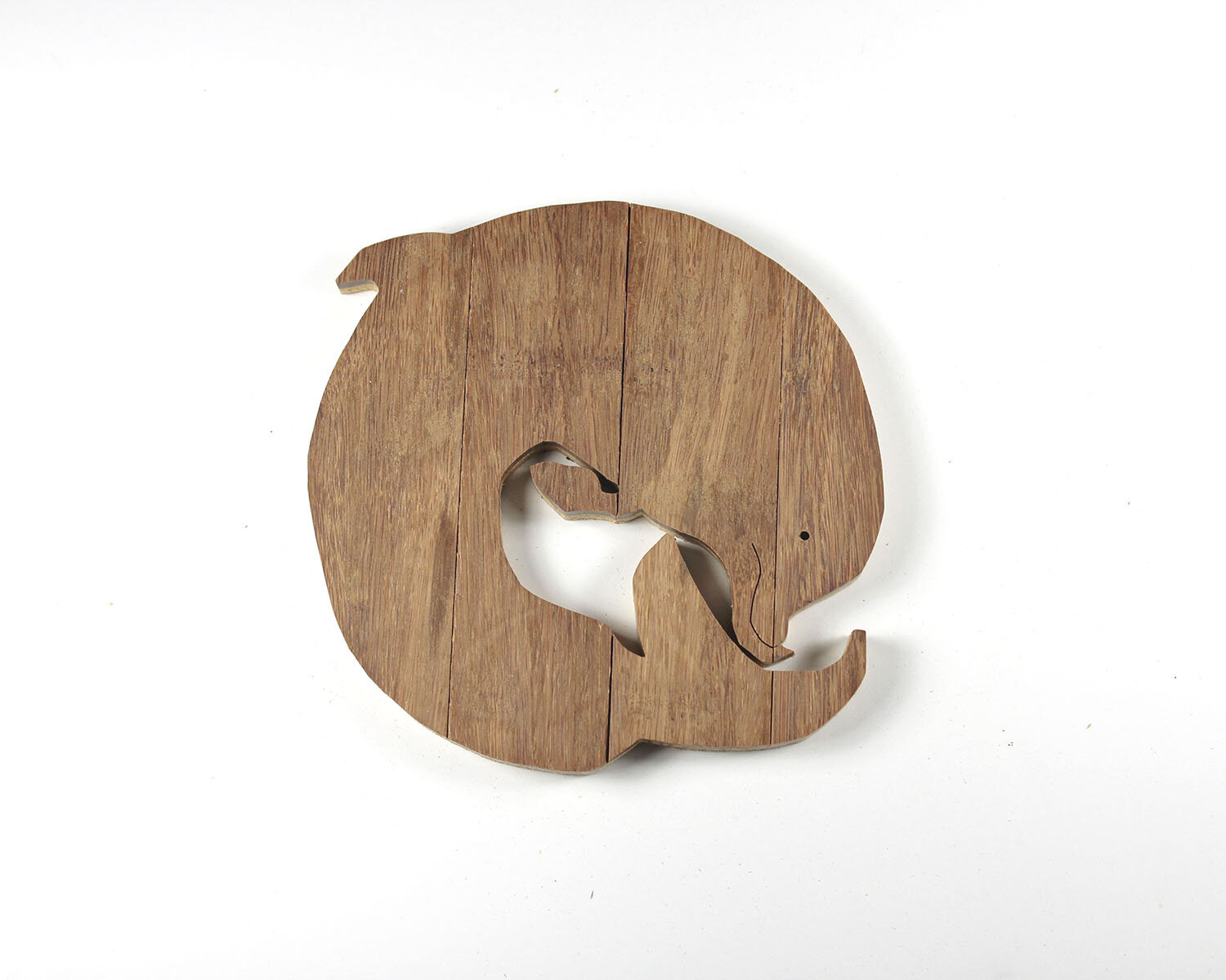 #173 June 22- Cuvier's Beaked Whale