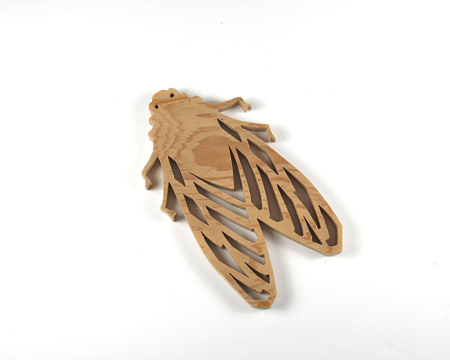#181 June 30- Cicada
