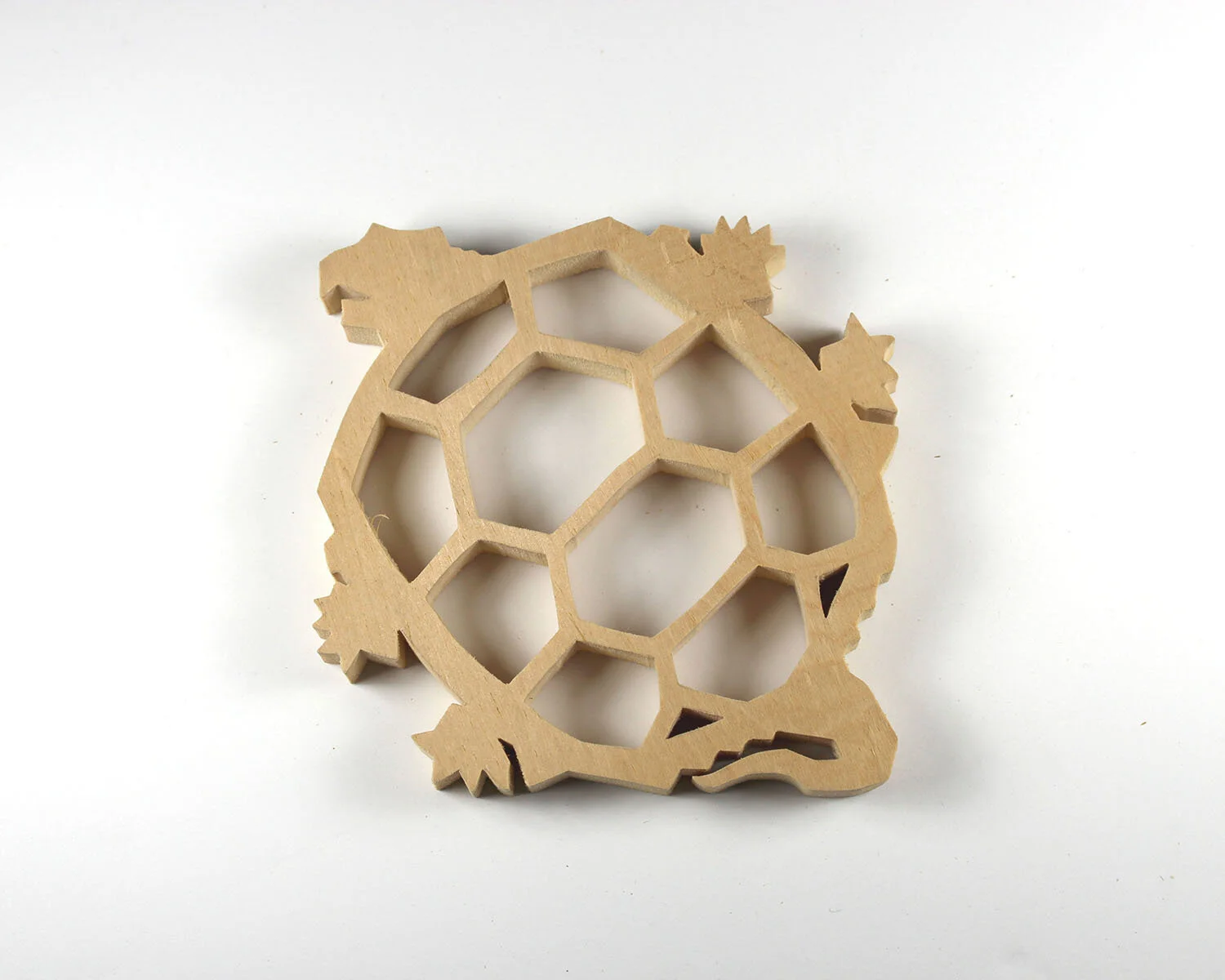 194 Snapping Turtle.JPG