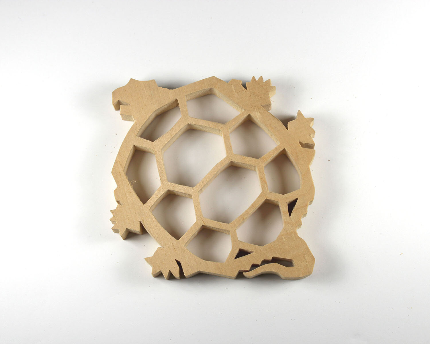 #194 July 13- Snapping Turtle