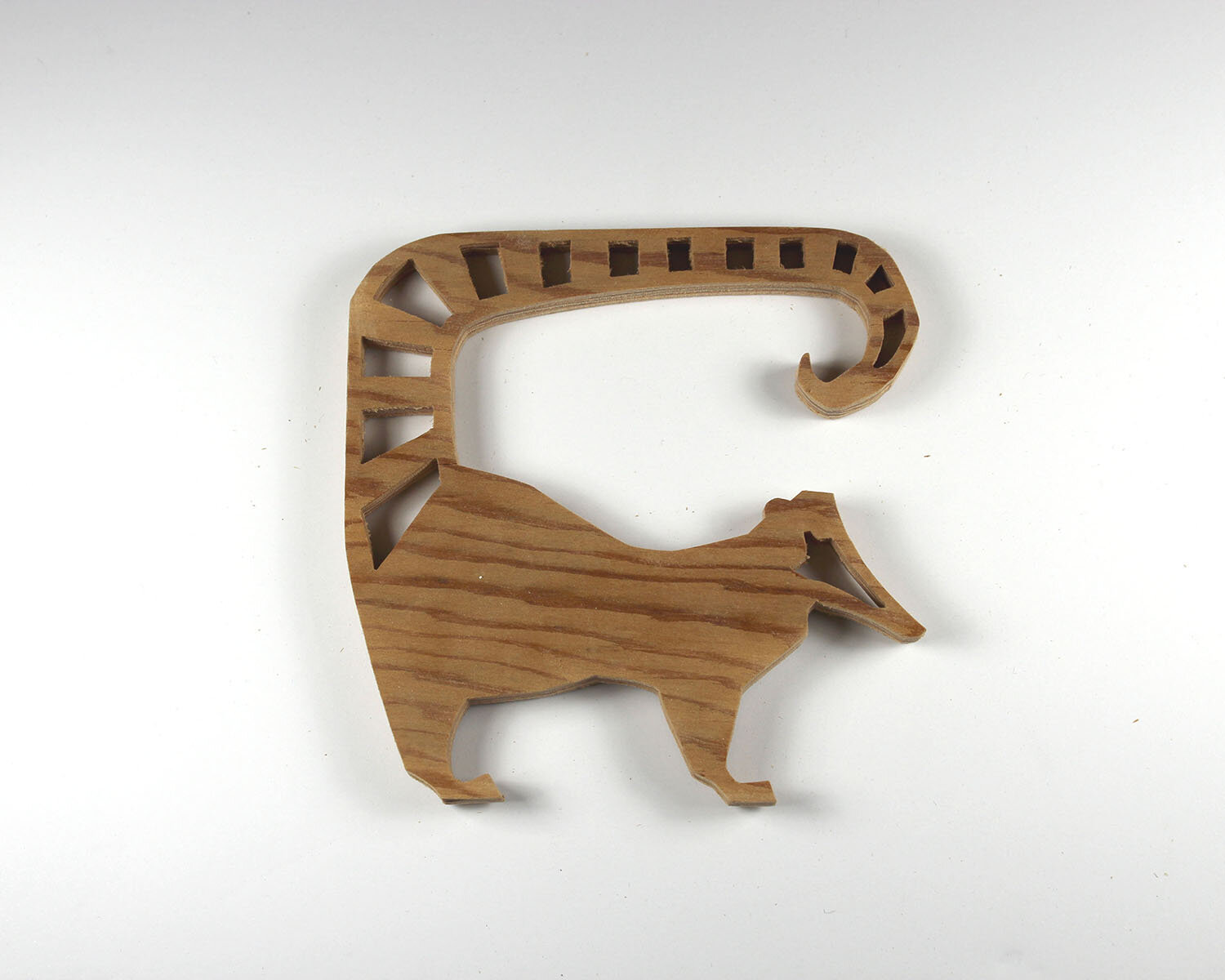 #195 July 14- Ringtailed Coatimundi