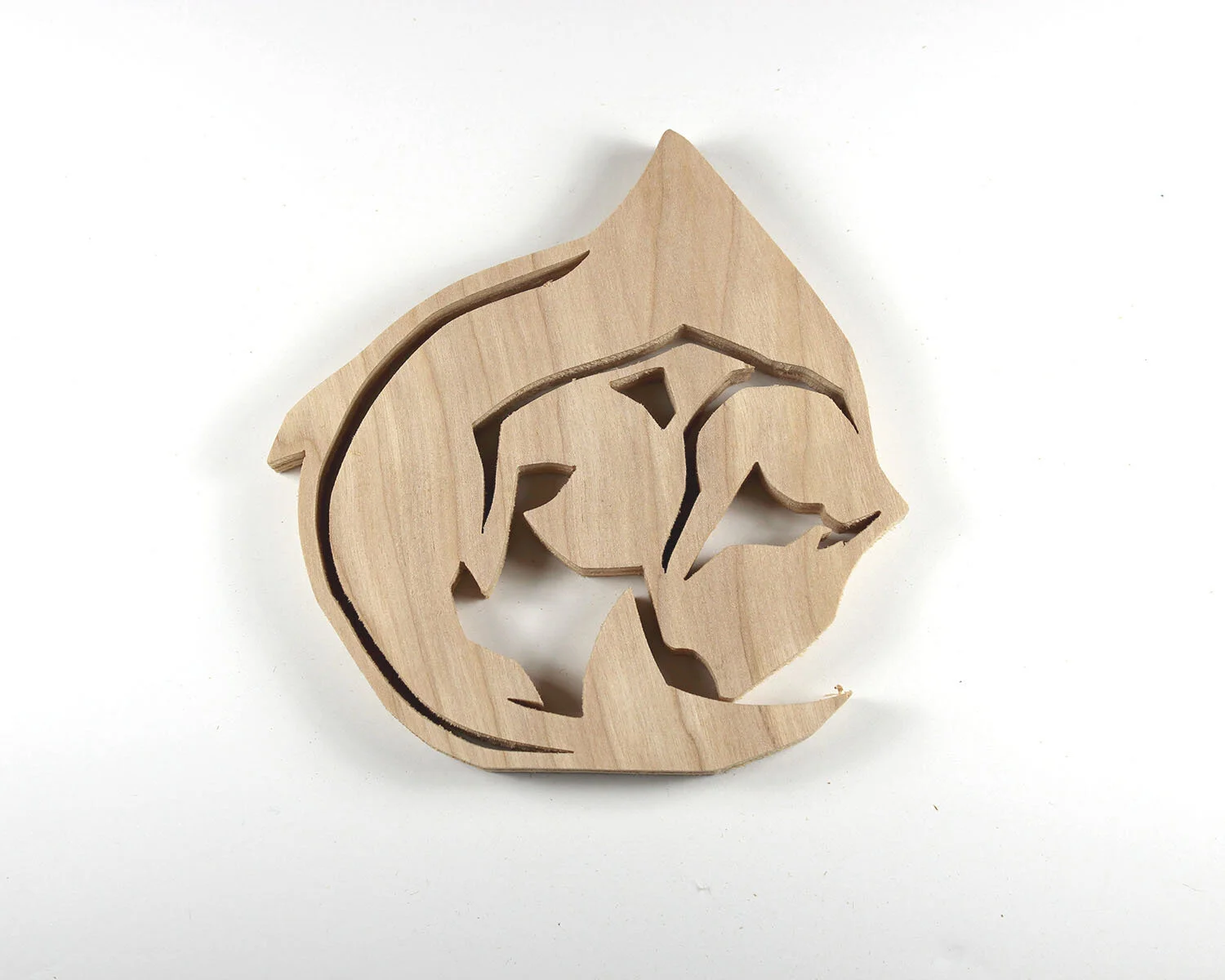 201 Striped Shark.JPG