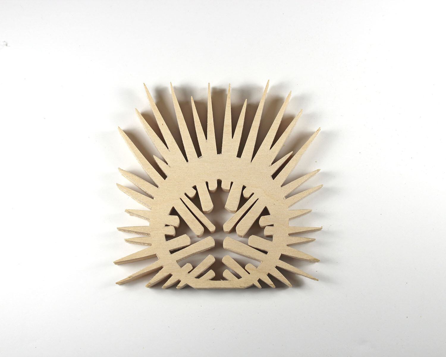 #209 July 28- Sea Urchin