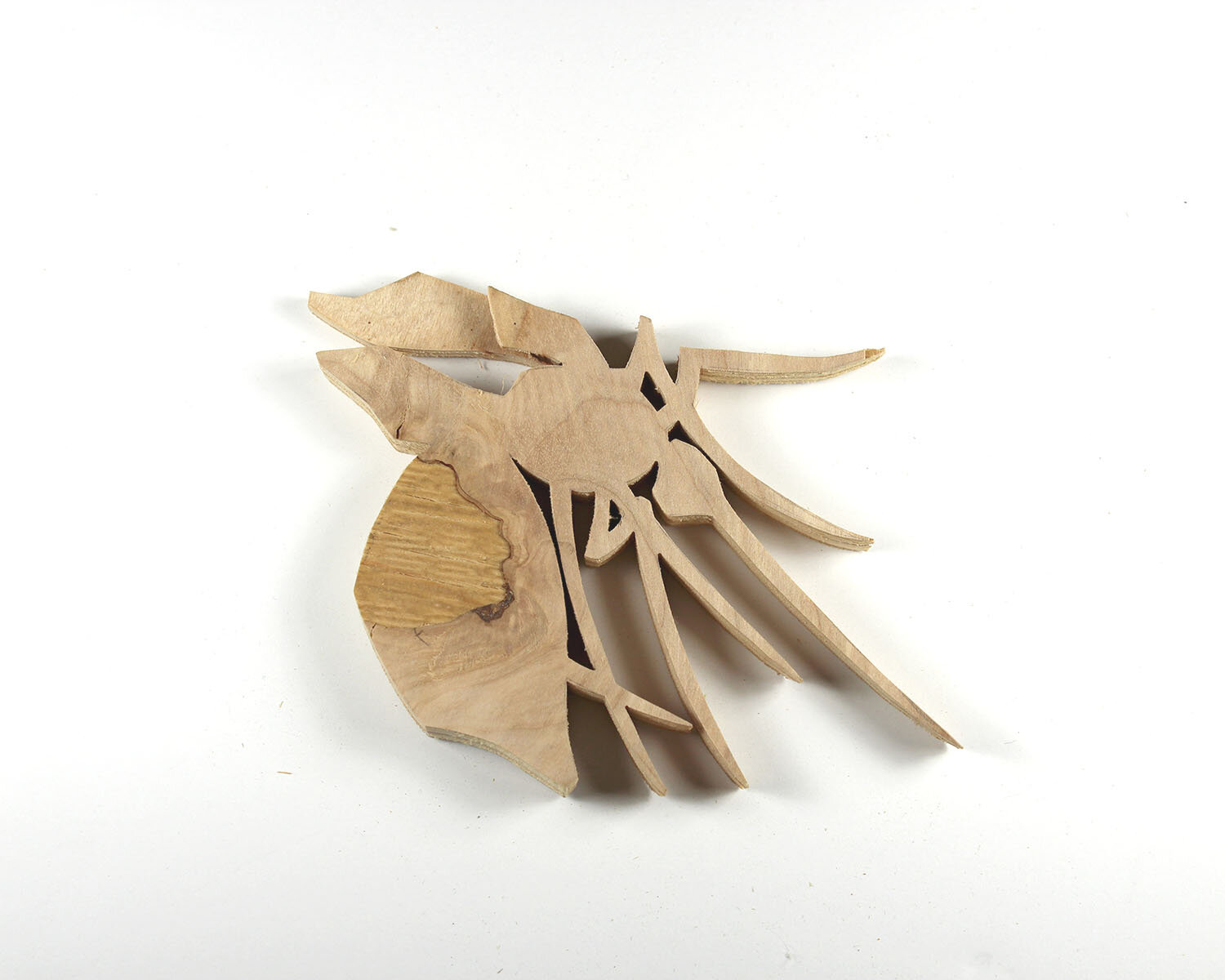 #210 July 29- Mosquito