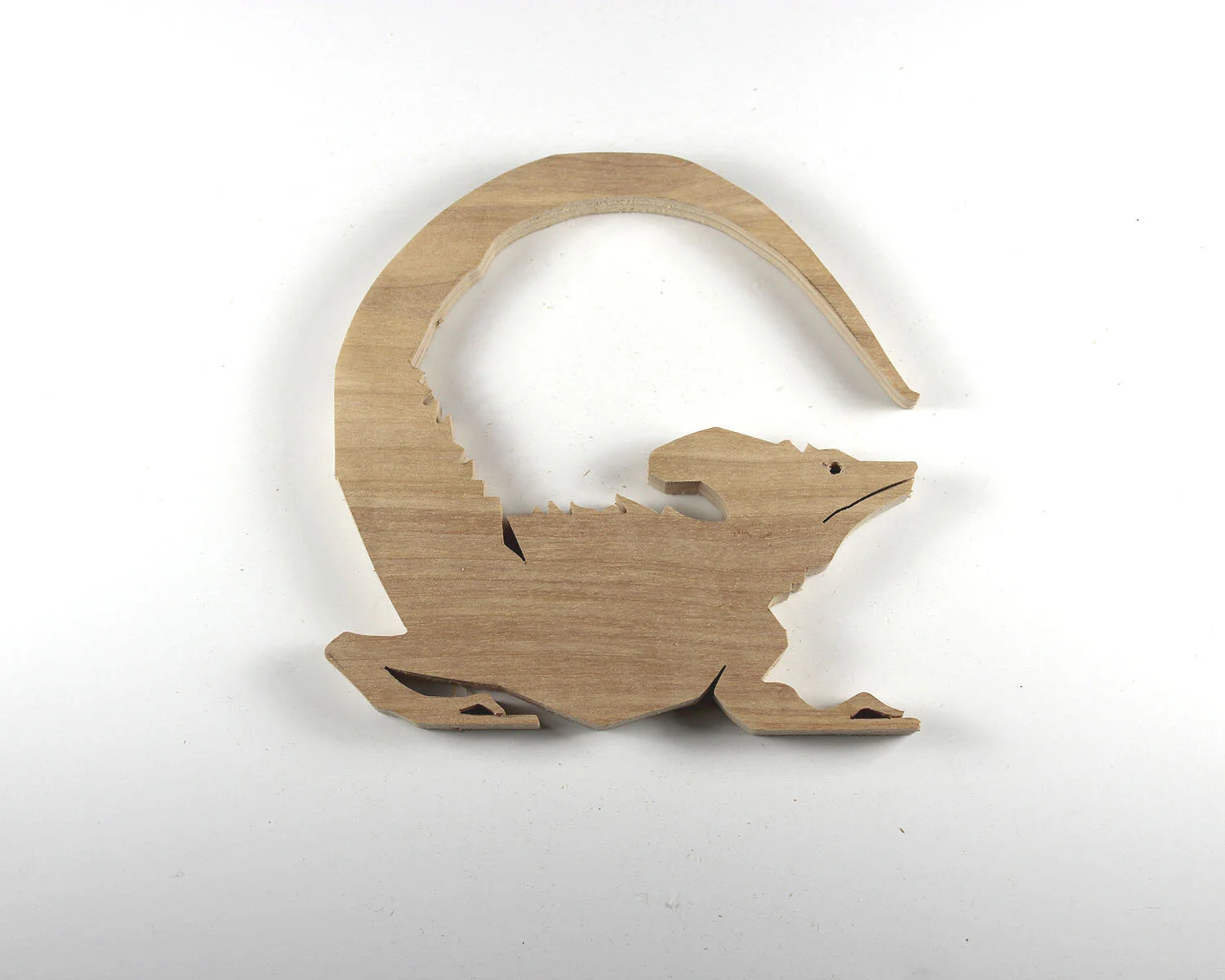 218 Plumed Basilisk.JPG