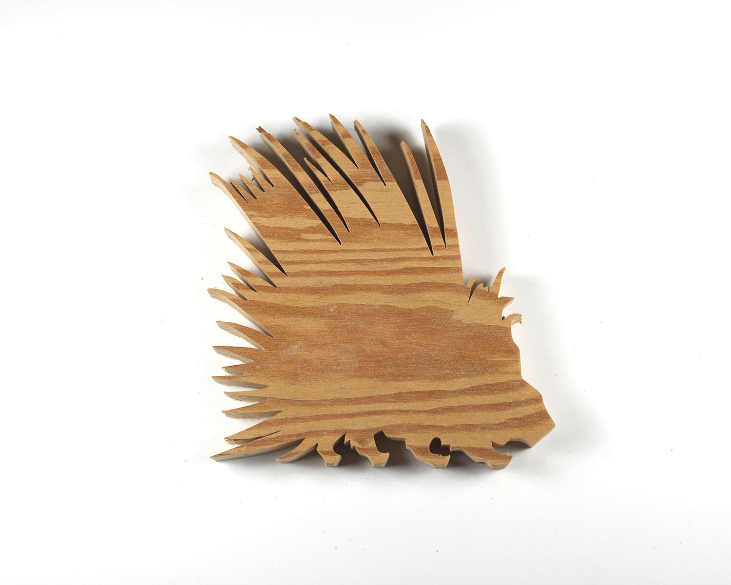 #220 August 8- Porcupine