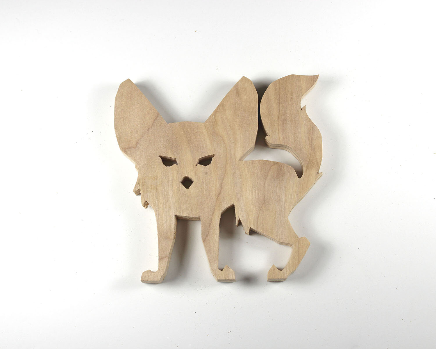 #221 August 9- Fennec Fox