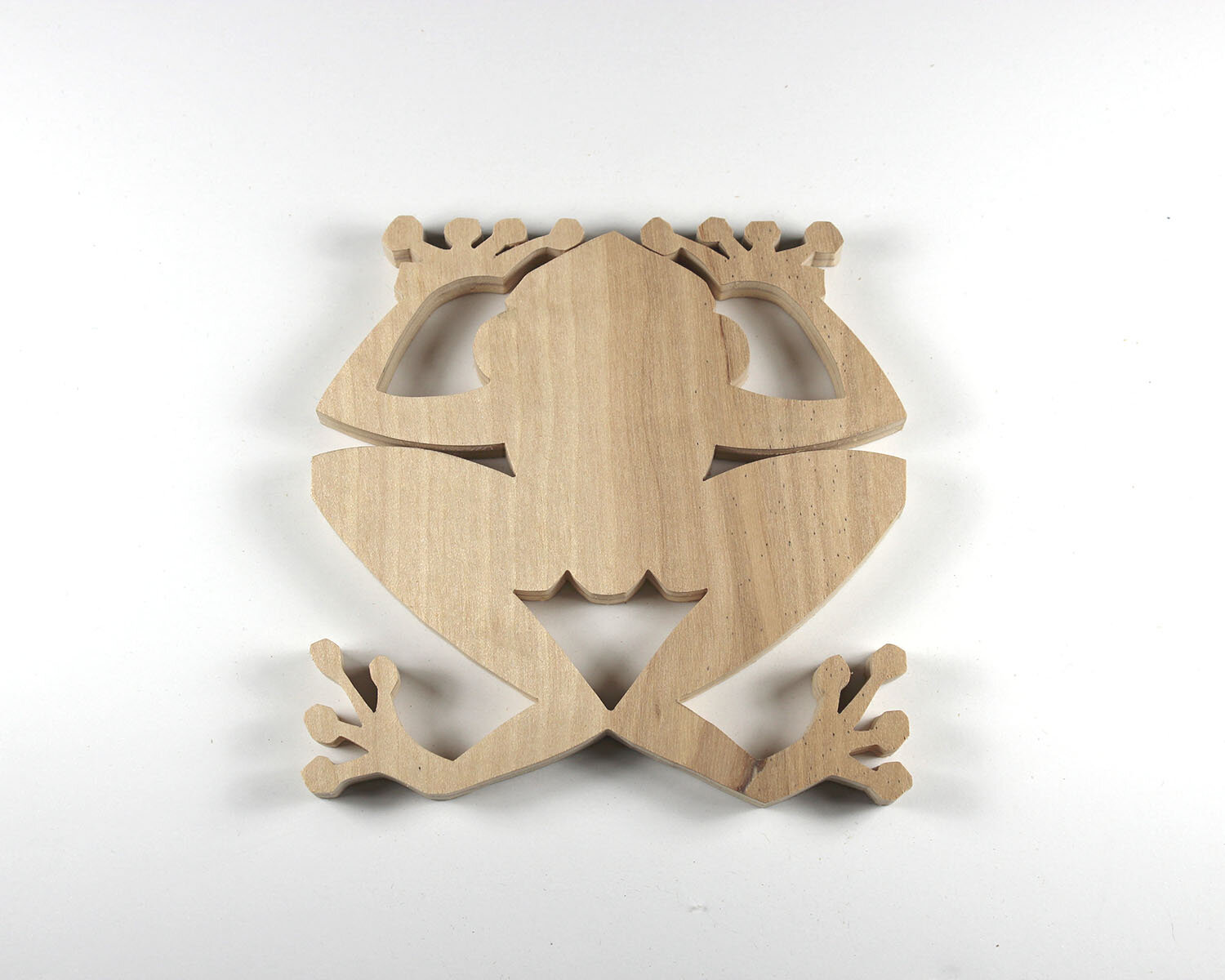 #228 August 16- Treefrog