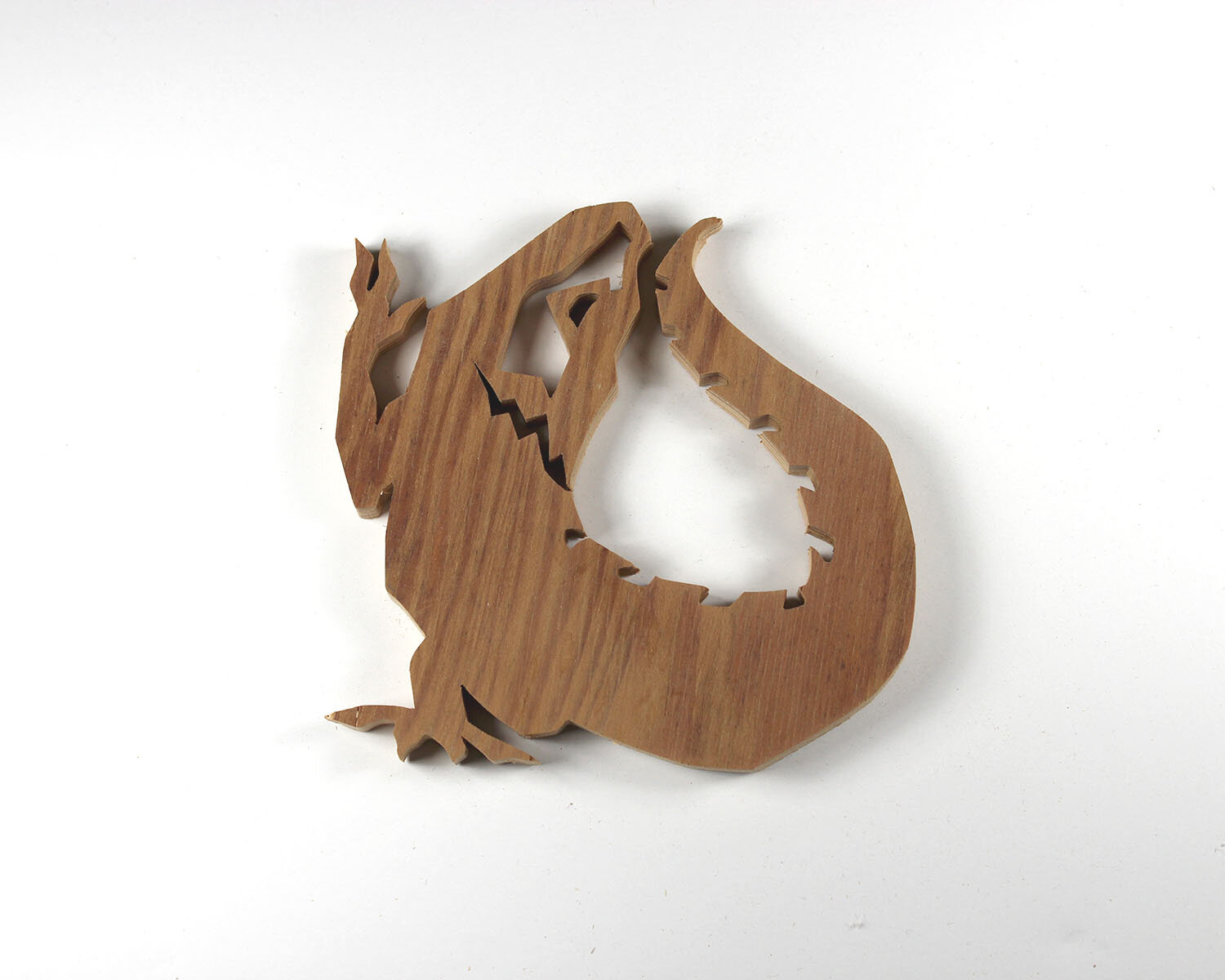 #233 August 21- Crocodile Skink