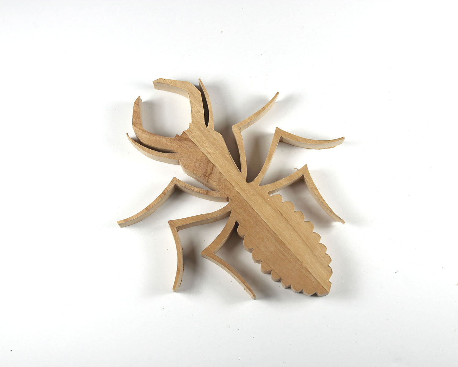 #236 August 24- Termite