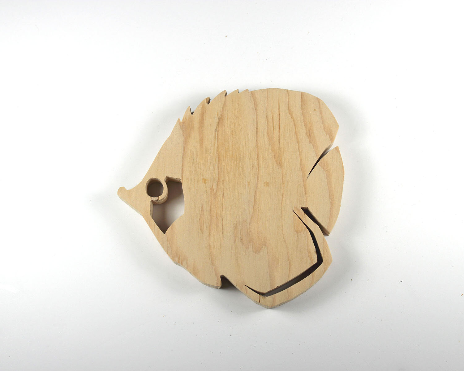 #239 August 27- Butterfly Yellowfish