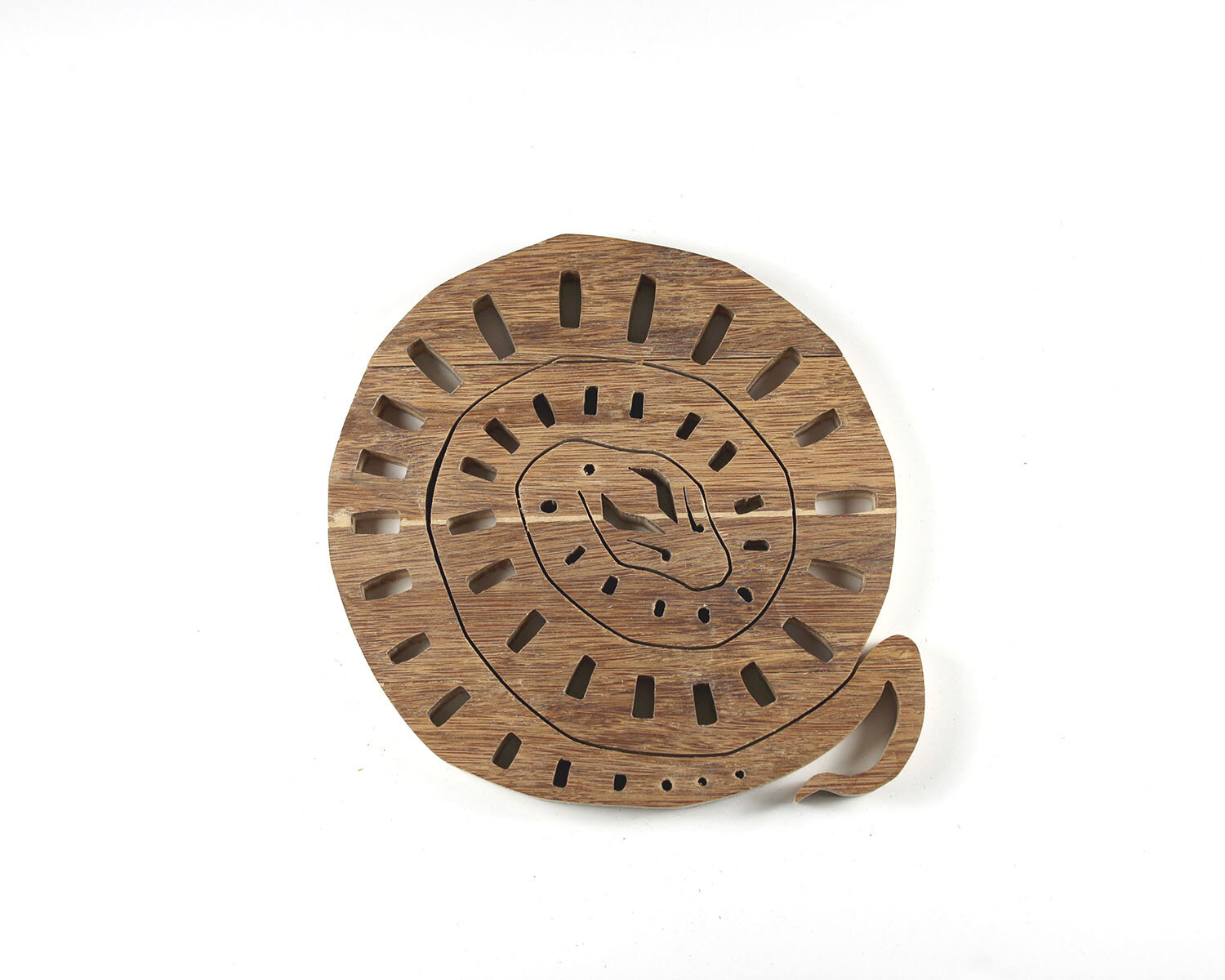 #240 August 28- Southern Hog-Nosed Snake