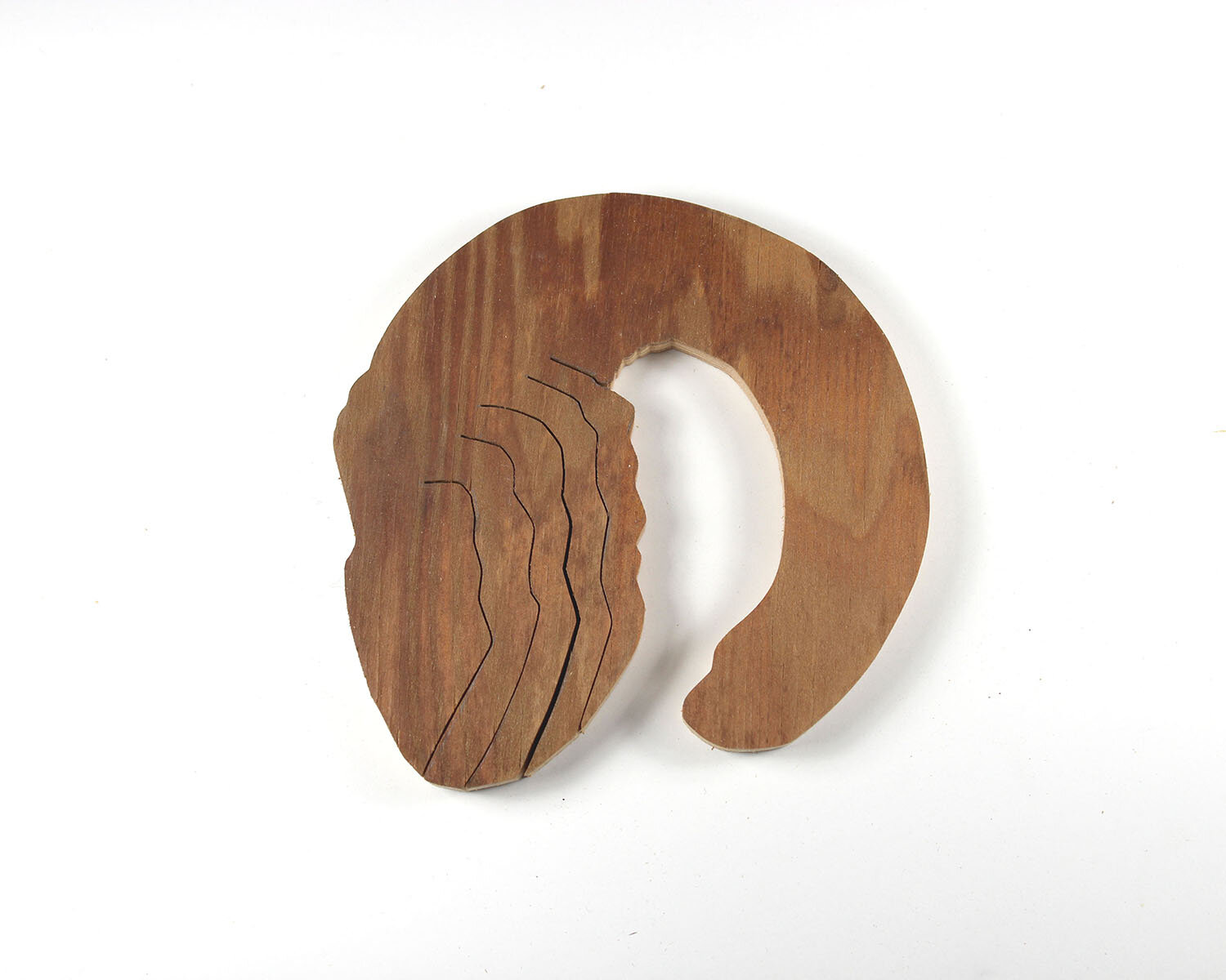 #249 September 6- Geoduck