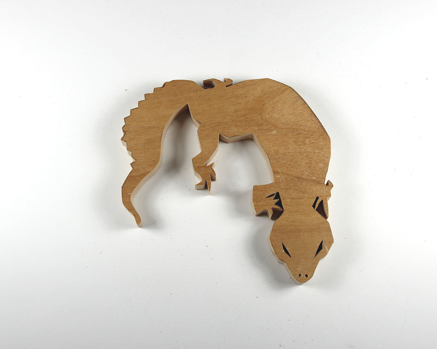 252 Albino Leopard Gecko.JPG