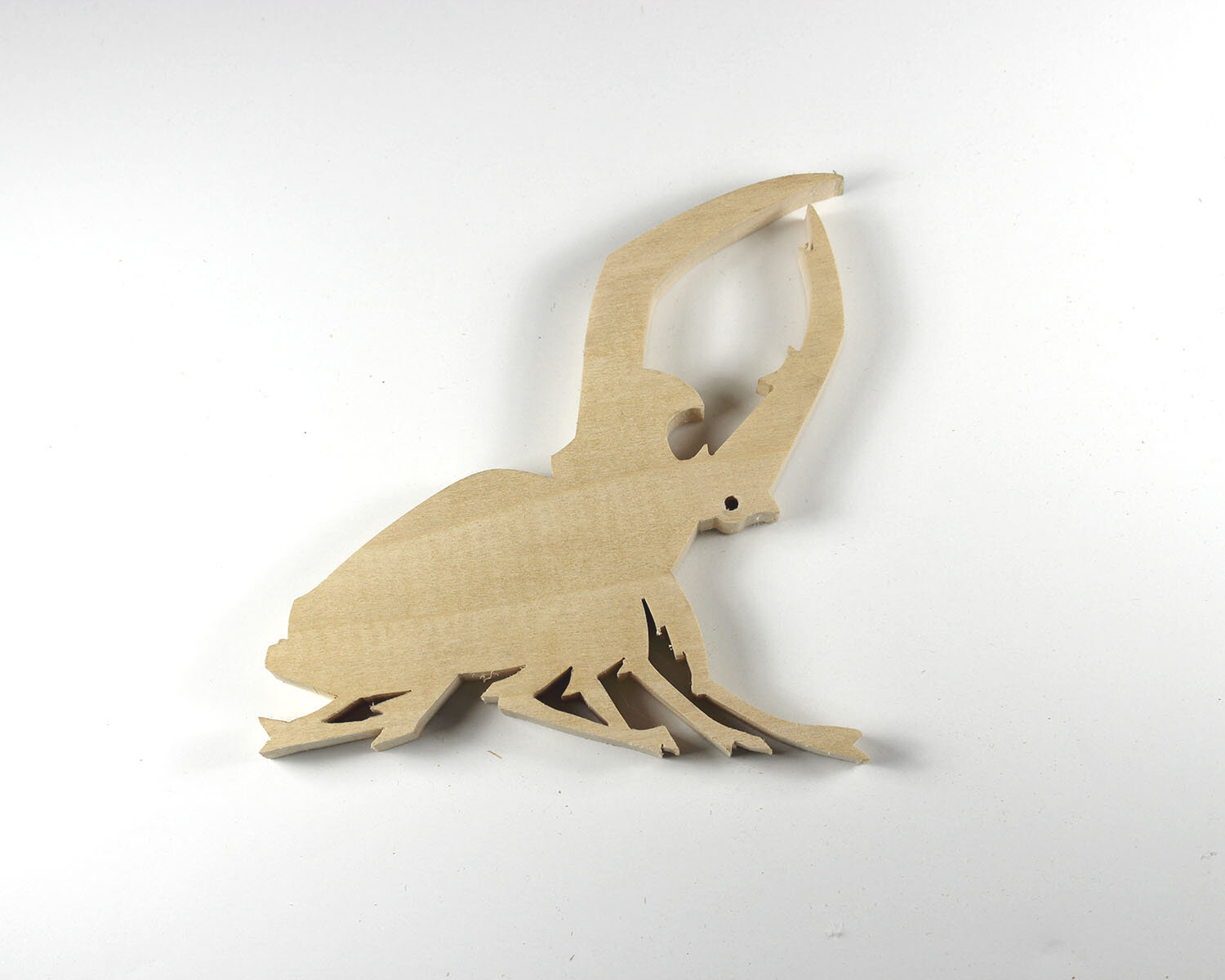 #259 September 16- Hercules beetle