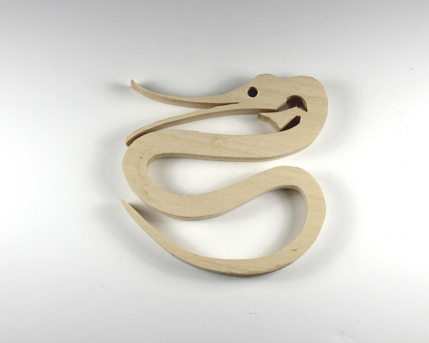 #261 September 18- Snipe Eel