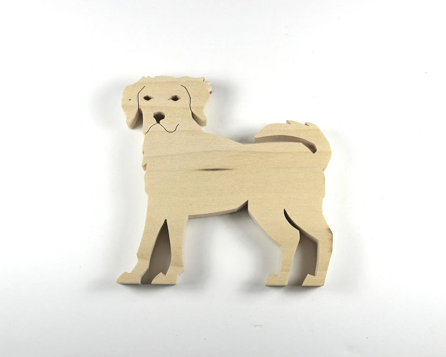 262 Yellow Labrador.JPG