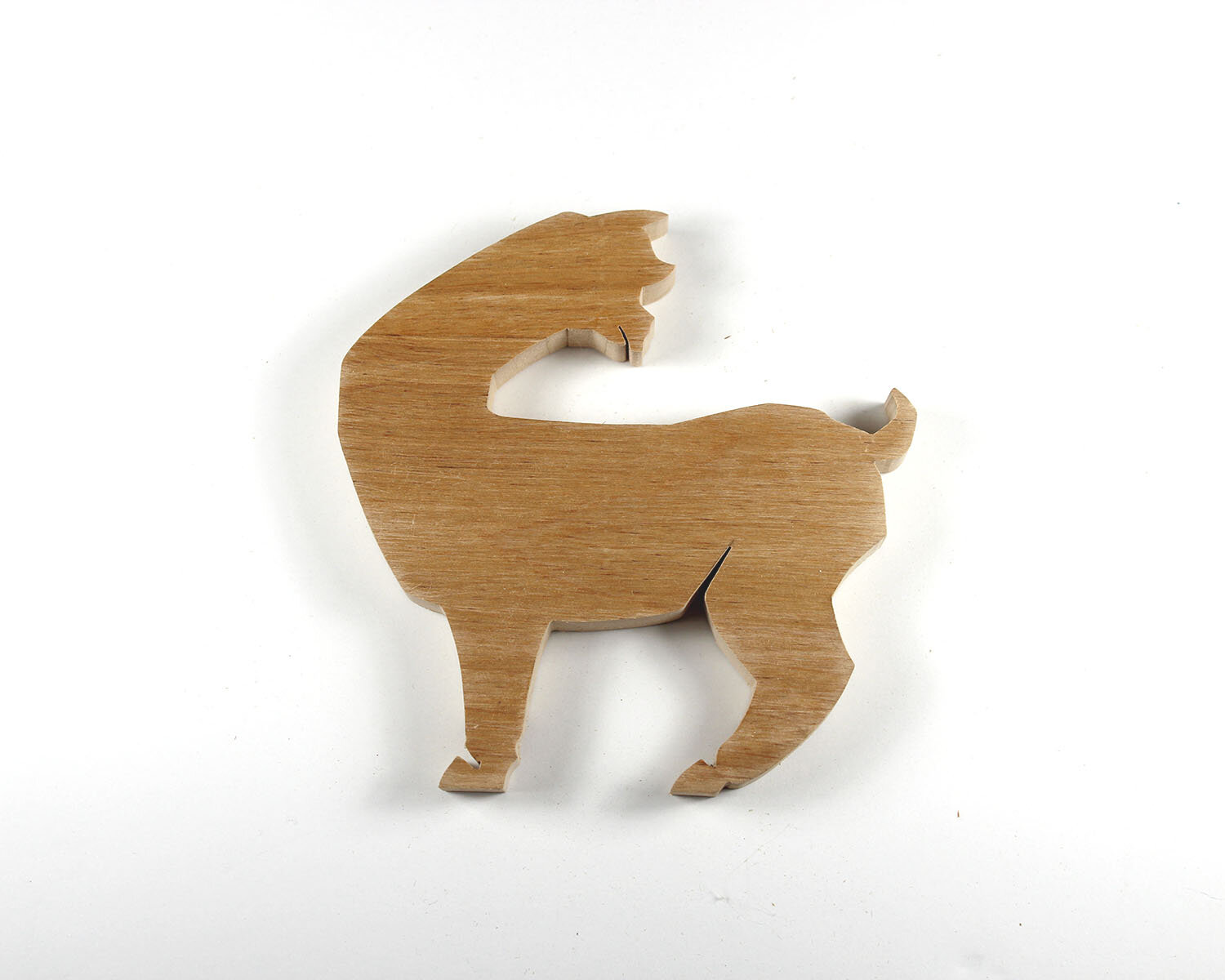 #264 September 21- Alpaca