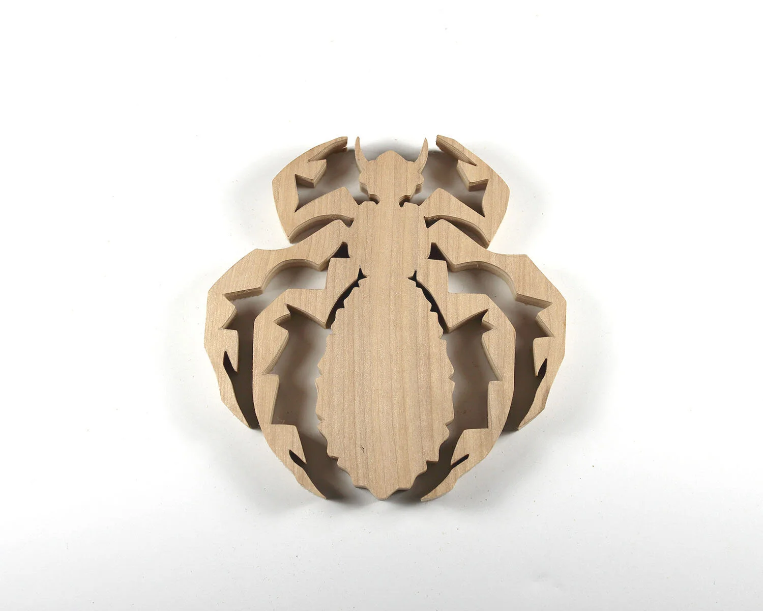 273 Louse.JPG