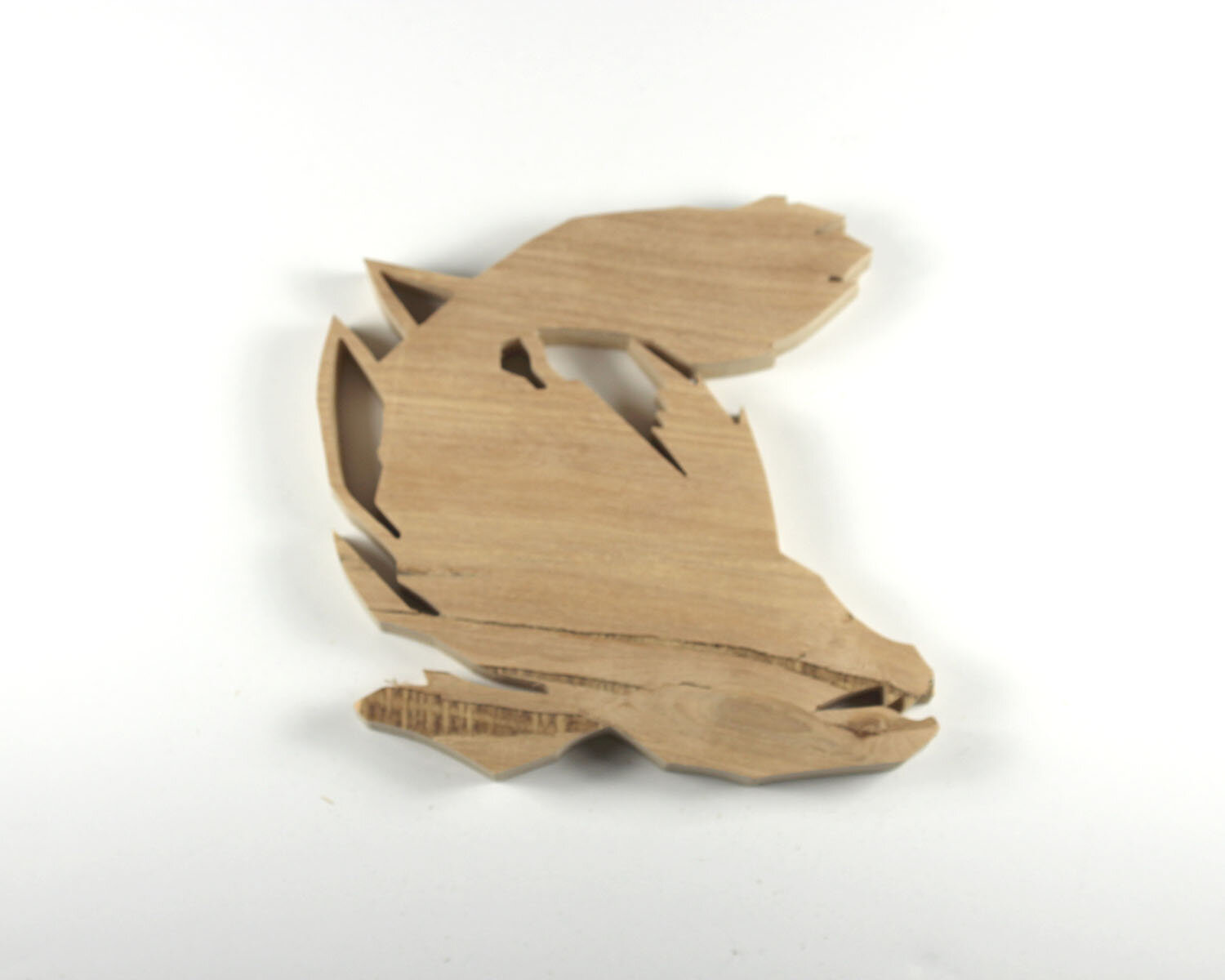 #276 October 3- Coelacanth