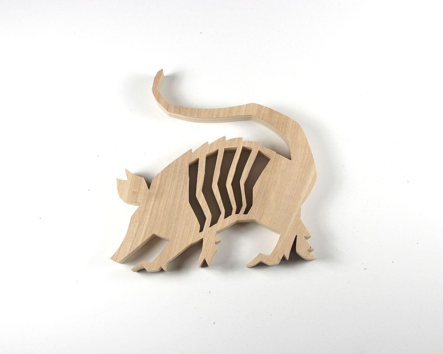 #278 October 5- Armadillo