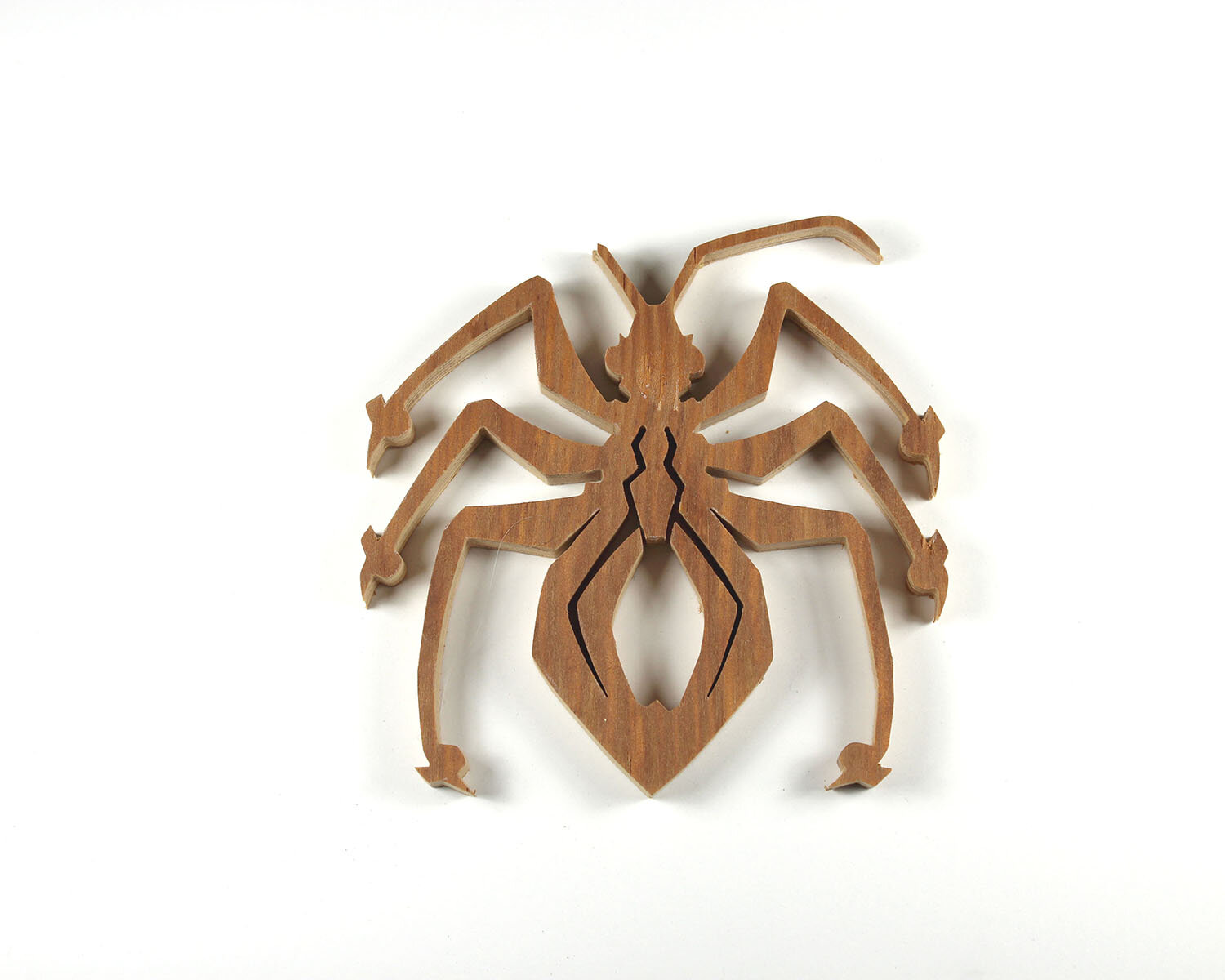 #282 October 9- Assassin Bug