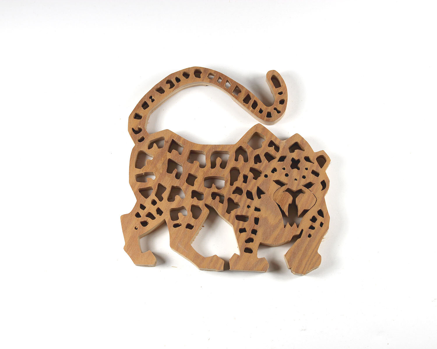 #287 October 14- Leopard