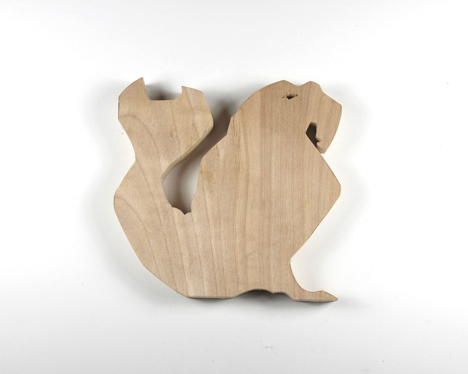 289 Elephant Seal.JPG