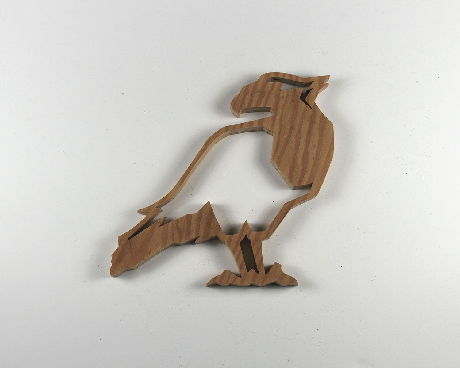 #293 October 20- Crested Caracara