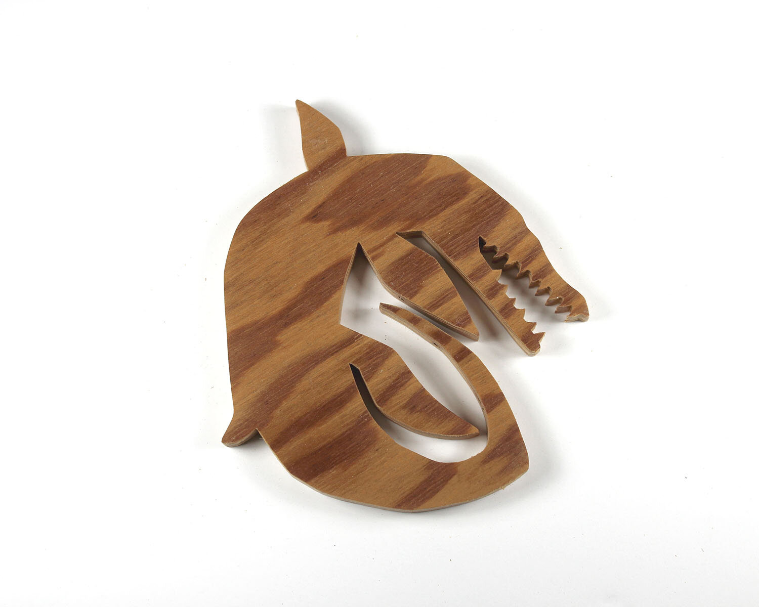 #294 October 21- Pilosaurus Macromerus