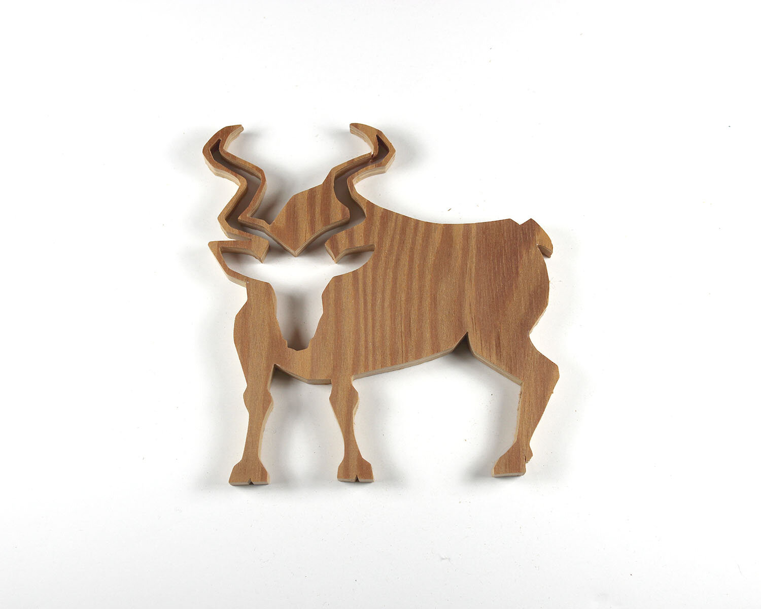 #296 October 23- Kudu