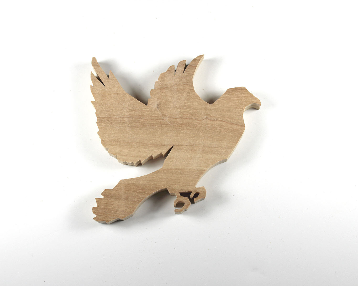 #298 October 25- Dove