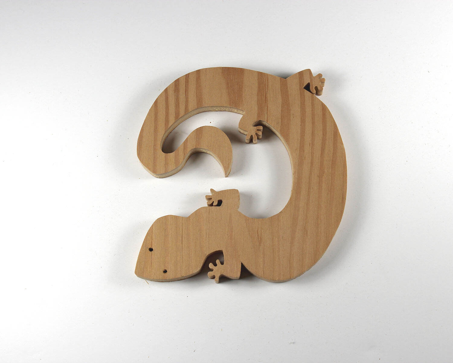 #305 November 1- Chinese Salamander