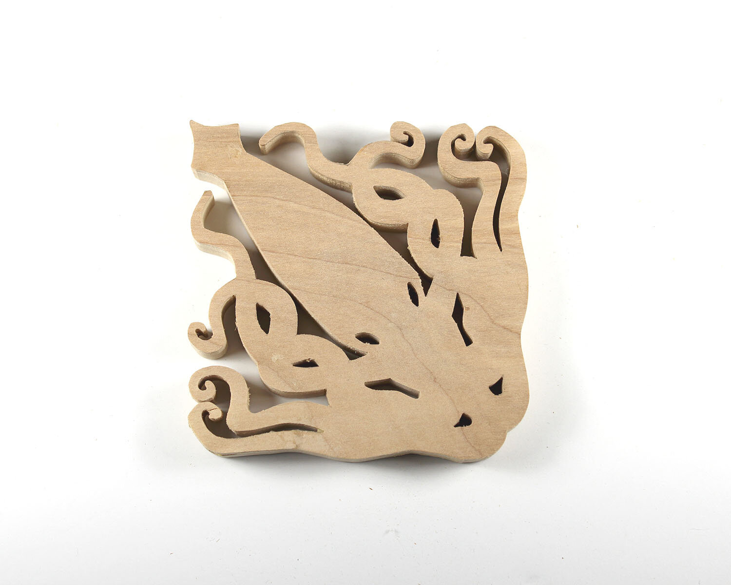 #306 November 2- Giant Squid