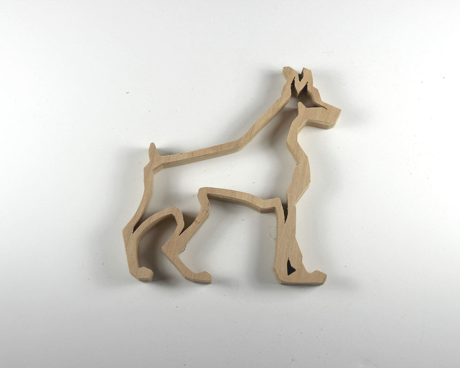 #308 November 4- Doberman Pincher