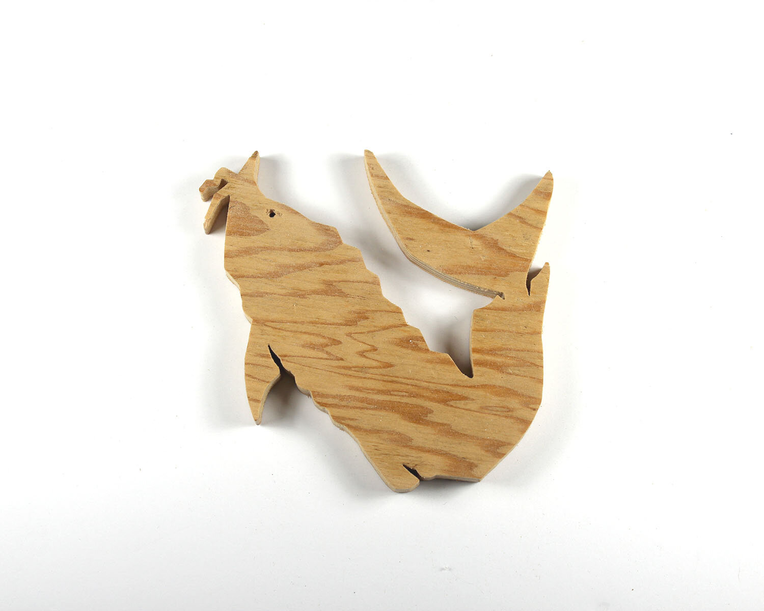 #310 November 6- Beluga Sturgeon