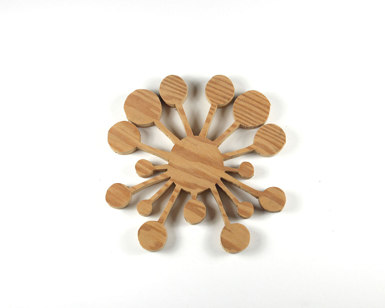 #312 November 8- Carnivorous Sea Sponge