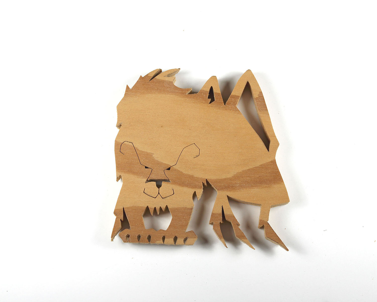 #314 November 10- Myrmecoleon