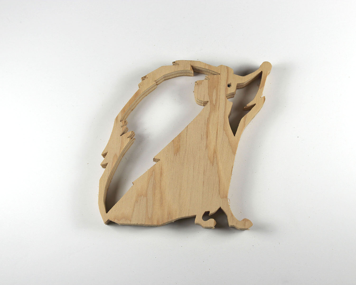 #316 November 12- Hedgehog