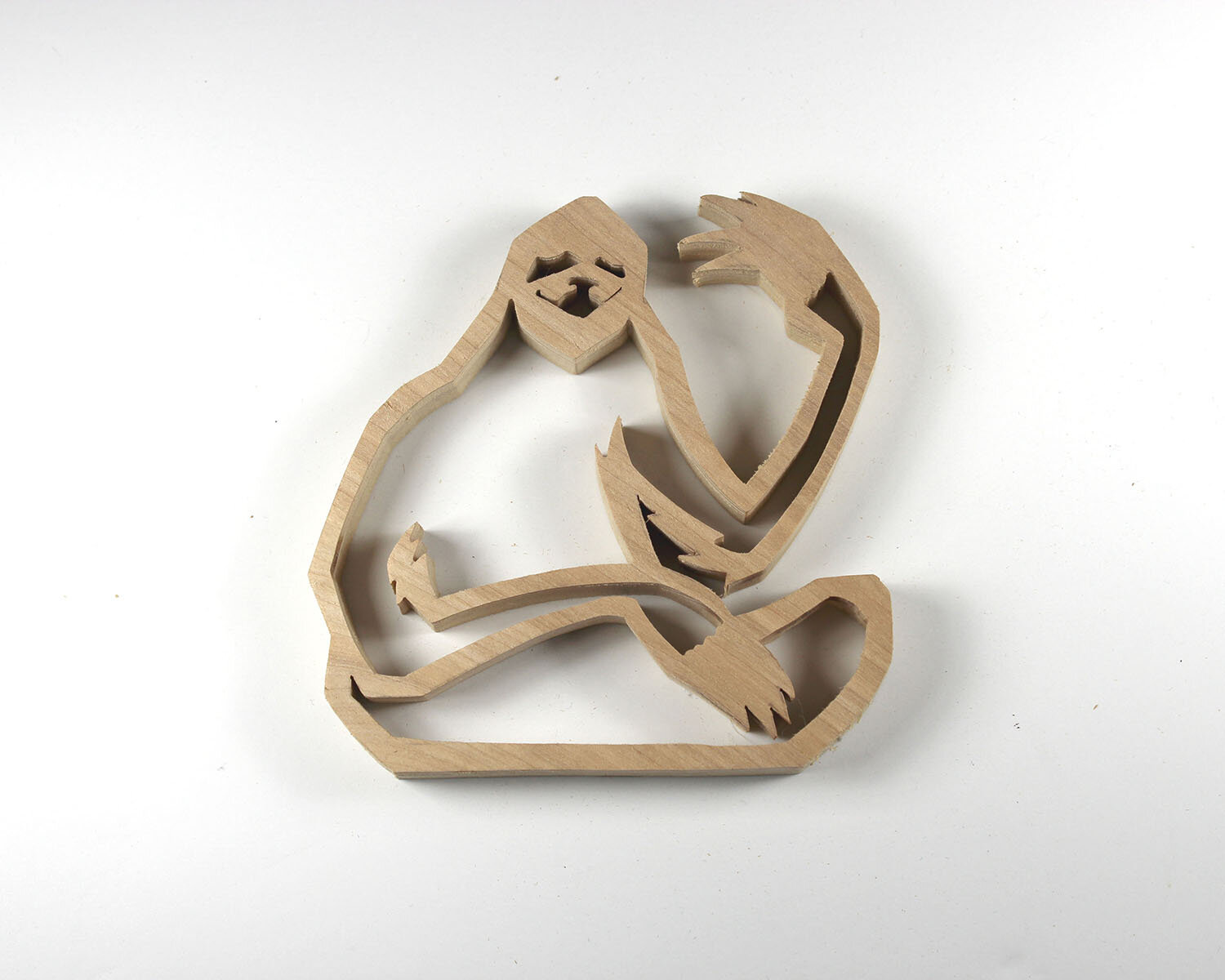 #317 November 13- Sloth